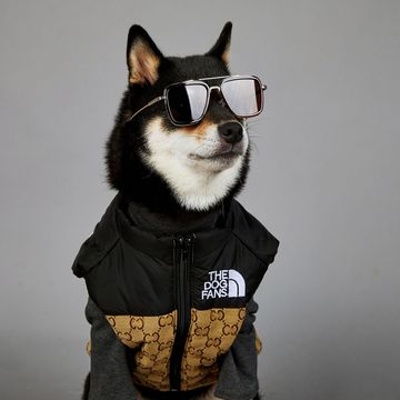 潮牌防雨狗狗大型犬奢侈大牌冬季保暖宠物背心马甲棉服