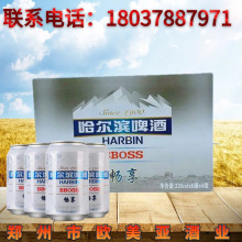 Harbin/哈尔滨啤酒畅享330ml*24听夜场酒吧量贩啤酒全国酒水批发