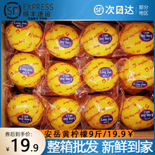 安岳新鲜黄柠檬9斤一二级薄皮商用四川青柠檬薄皮奶茶店水果
