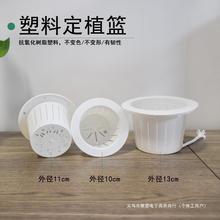 定植篮白色塑料树脂材料花卉水培植物花篮垂吊花盆篮子