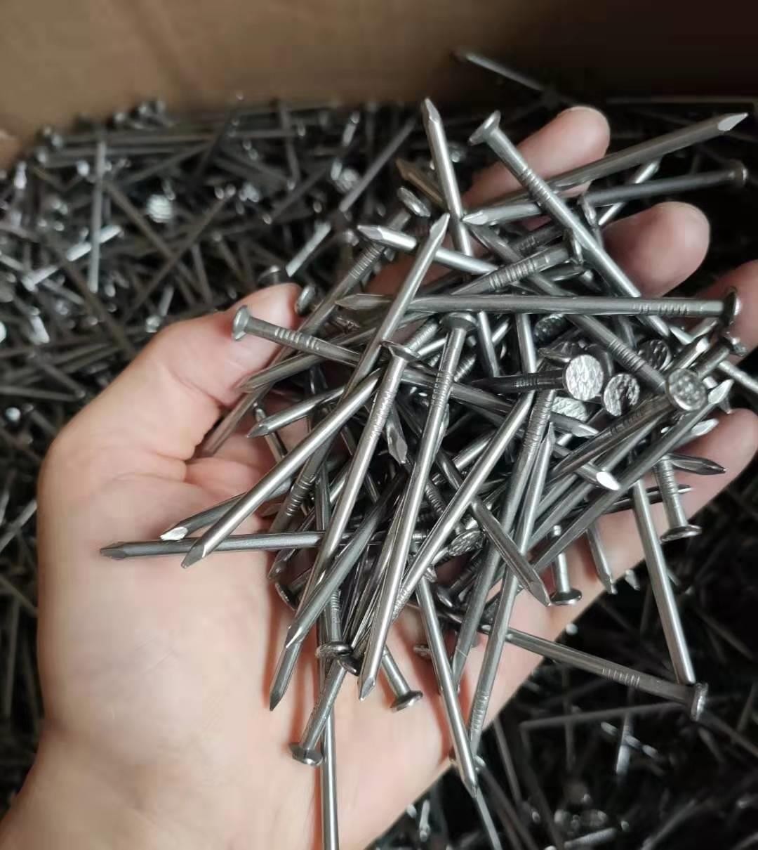 厂家供应木工铁钉子 建筑工地固定模板圆头钉子现货批发可定制