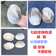 天然贝壳珍珠蚌壳珍珠河蚌壳抛光打磨饰品工艺品