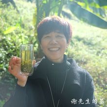 2022新茶绿茶紫阳富硒茶产区毛尖陕青炒青浓香耐泡半斤袋装办公茶