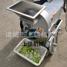多功能切菜机广东腊肠切片机蔬菜自动切片切丝切丁切段机
