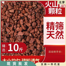 多肉火山岩颗粒土红火山石铺面石头纯颗粒20斤兰花用多肉土营养土