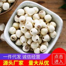 莲子 无硫莲子干货煮粥去芯磨皮子500g/250g红莲子湘莲百合干批发