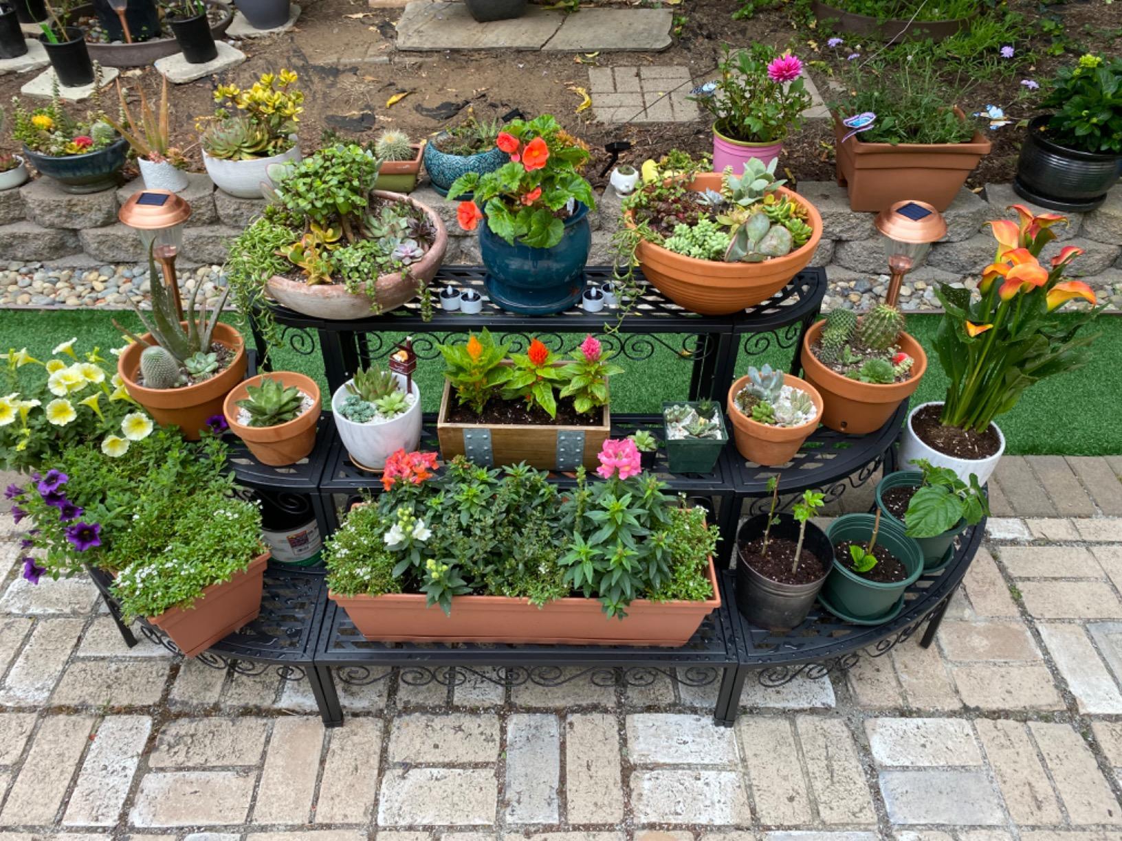 4nf8批发花架置物架阳台铁艺阶梯落地式多层户外庭院窗台多肉专用-阿