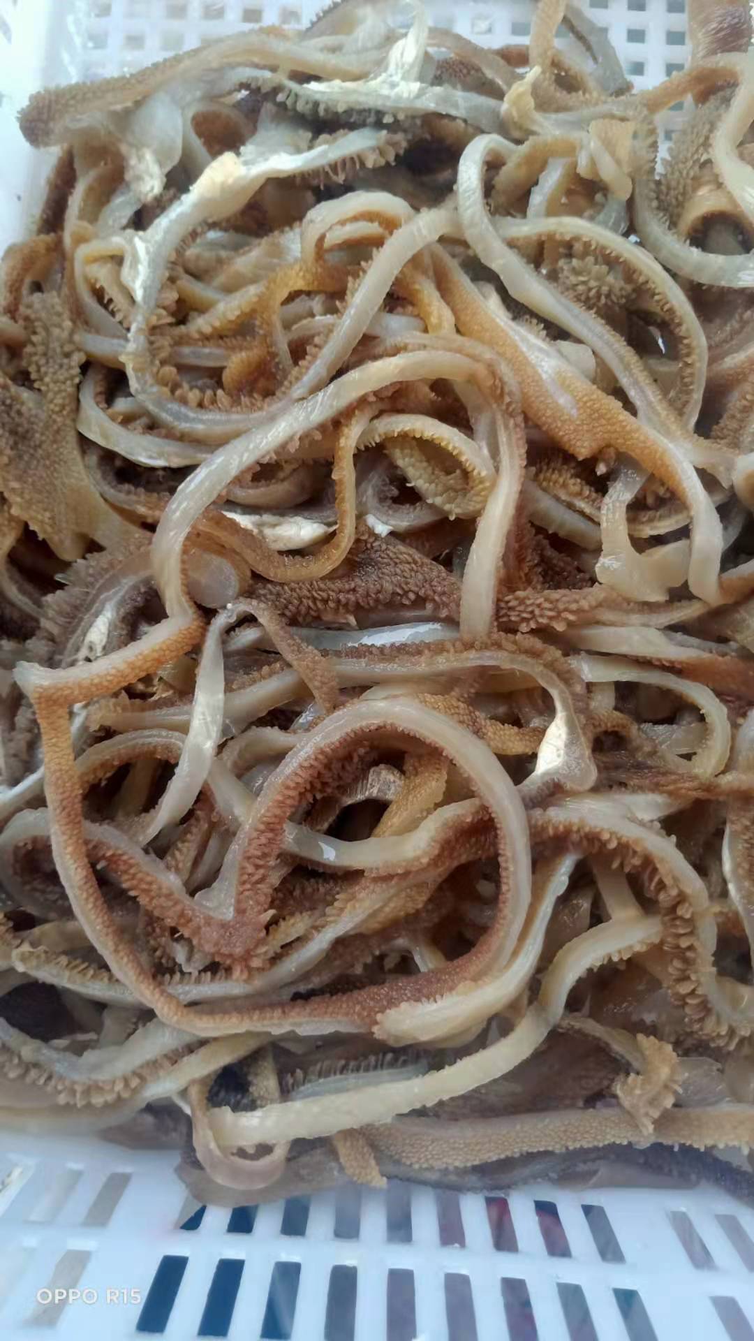 羊肚丝水发绵羊肚火锅食材新鲜羊杂唰羊肚丝丝羊杂商用羊肚