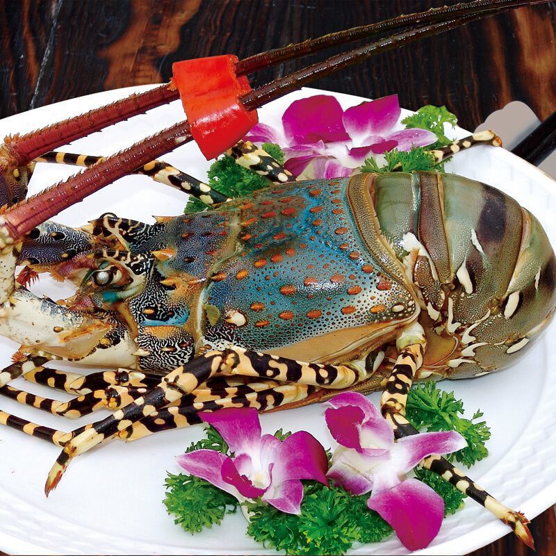 花龙 澳洲大龙虾 锦绣龙虾 彩虹龙虾 青龙海鲜过年过节礼品