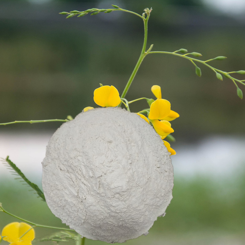 现货 供应田菁胶粉田箐胶粉粘合剂 增稠剂胶凝剂催化剂载体工业级