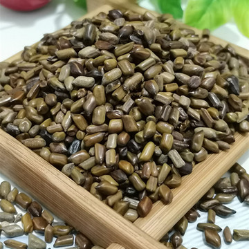 批发 决明子 草决明 散装500克