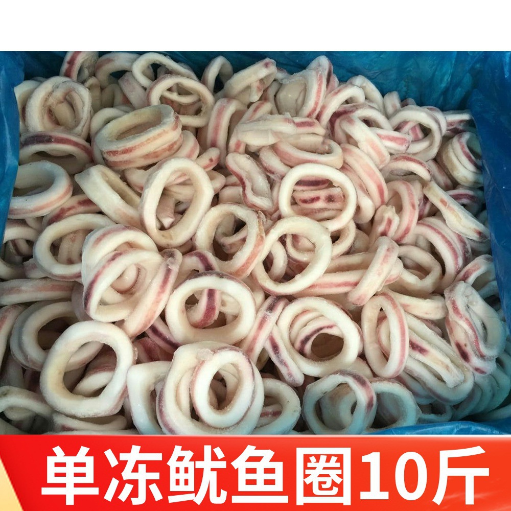 新鲜鱿鱼圈冷冻单冻饭店酒店半成品食材油炸火锅烧烤水产餐厅商用