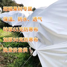 厂家直销65克特厚防寒布 农用户外植物果园防冻防腐保暖保温布