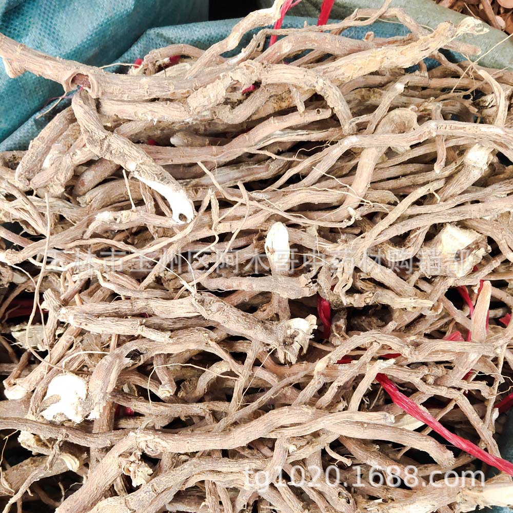 黄花倒水莲 中药材 黄花参阴根 吊黄根 观音串根 整条水洗干货