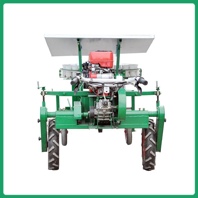 新型多功能辣椒移栽机 多行大型农作物种植机 株距可调大棚移苗机