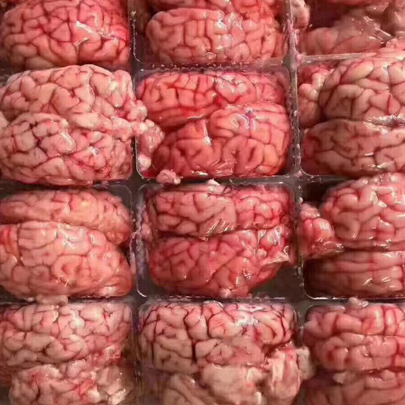 大量批发国产 鲜冻猪脑 牛脑 羊脑 欢迎选购 冷链配送