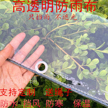 透明防水软膜加厚户外帆布透明蓬布pvc阳台窗户防风防雨水布