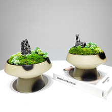 仿真苔藓盆景绿植酒店新中式会议桌面盆栽样板房客厅装饰项目摆件