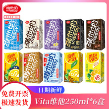 维他奶250ml*6盒装多口味柠檬茶巧克力豆奶饮料饮品批发