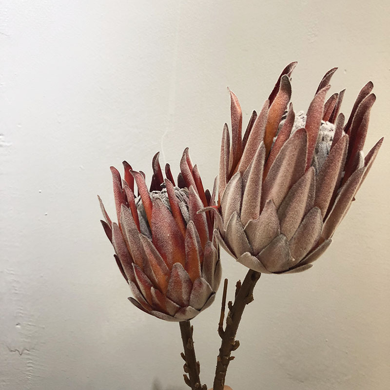 仿真干花帝王花美式田园做旧客厅餐桌样板间装饰花欧式假花摆件