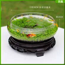 玻璃花瓶花盆水培花卉盆栽绿植生态小鱼缸乌龟缸 水族水草 生态缸