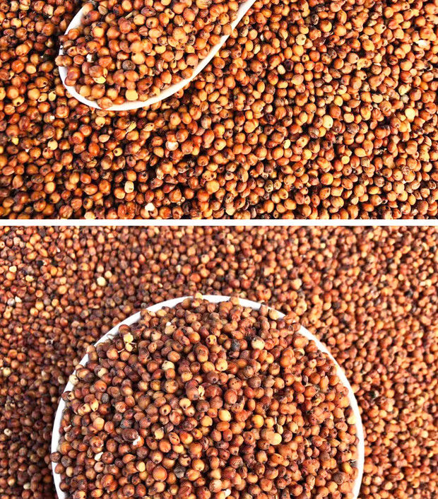 东北带皮红高粱酿酒酿醋喂鸽子鸟食饲料带箱10斤鸽子用品大全批发