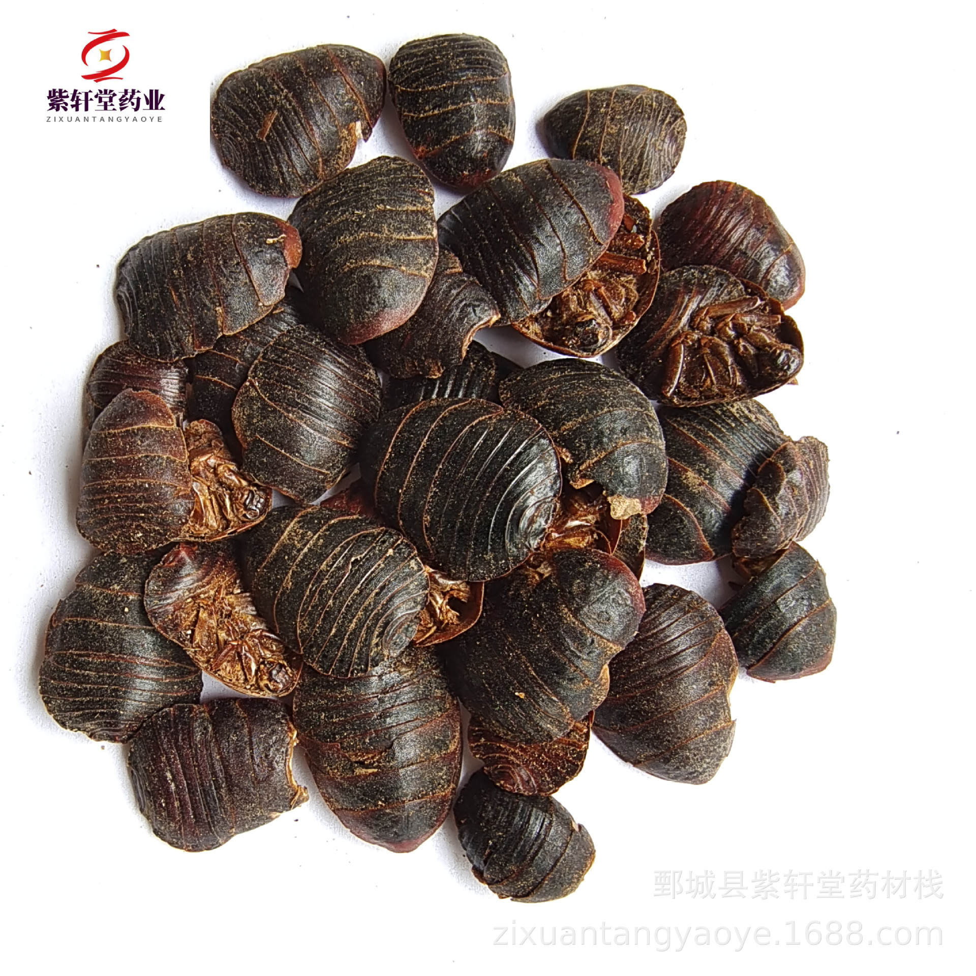 【紫轩堂】土元500g新货上市量大从优实物拍摄中药材批发土元