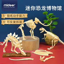 mideer弥鹿恐龙化石儿童考古标本骨架摆件STEAM早教益智玩具