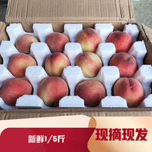 水蜜桃现摘新鲜桃子当季水果毛桃时令应季水密桃/5斤一件代发