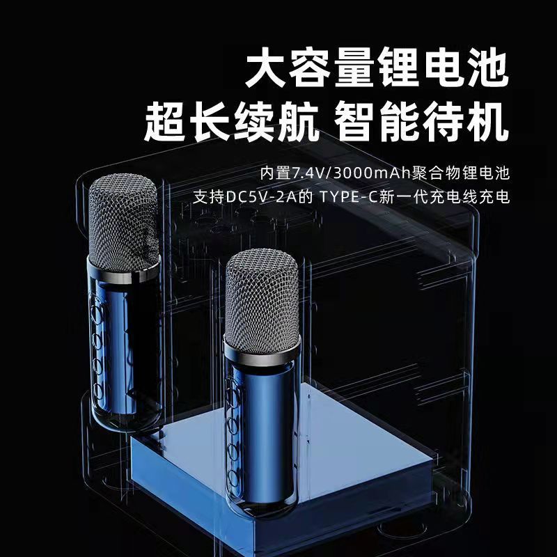 YS-203 Family TV Mobile Phone Karaoke Speaker Wireless Bluetooth Dual Microphone Mouthpiece Integrated KTV Stereo Suit