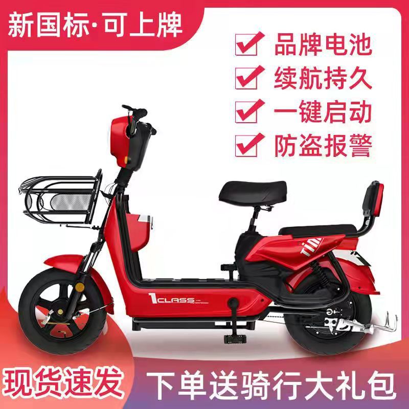 电动自行车新标可上牌款成人电瓶车两轮电动车男女代步车