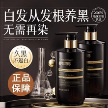 韩方五谷何首乌纯植物洗发水男女适用养发去屑止痒控油蓬松变黑发