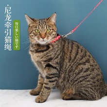 链猫绳子牵脖式猫咪牵引绳遛猫绳防外出挣脱溜家用链子套