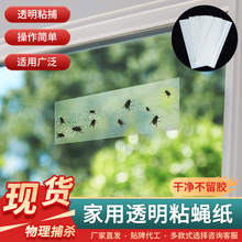 粘虫窗花透明粘虫板捕蝇器苍蝇板苍蝇贴苍蝇陷阱果蝇贴粘补苍蝇纸