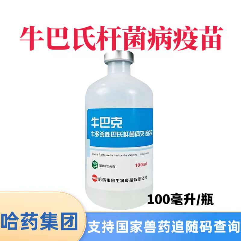 哈药牛疫苗牛巴氏杆菌疫苗牛巴克牛多杀行巴氏杆菌病活疫苗牛药