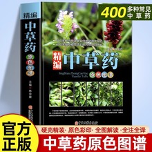 正版精编中草药原色图谱图解中华汉方快速认药彩图版中医中草药学
