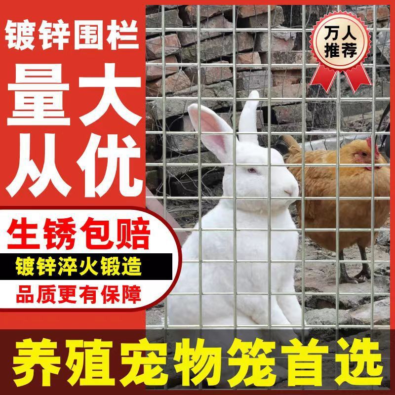 鸽舍拦鸡兔笼狗笼专用安全防护铁丝网围栏焊接镀锌网片热镀锌网片