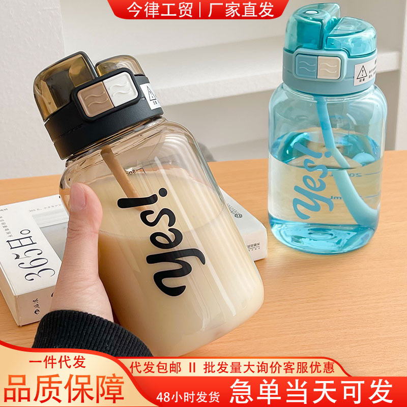 Water Cup Summer New Internet Celebrity Double Drinking Cup Portable Simple Plastic Straw Cup Portable Cup Male and Female Student Water Cup