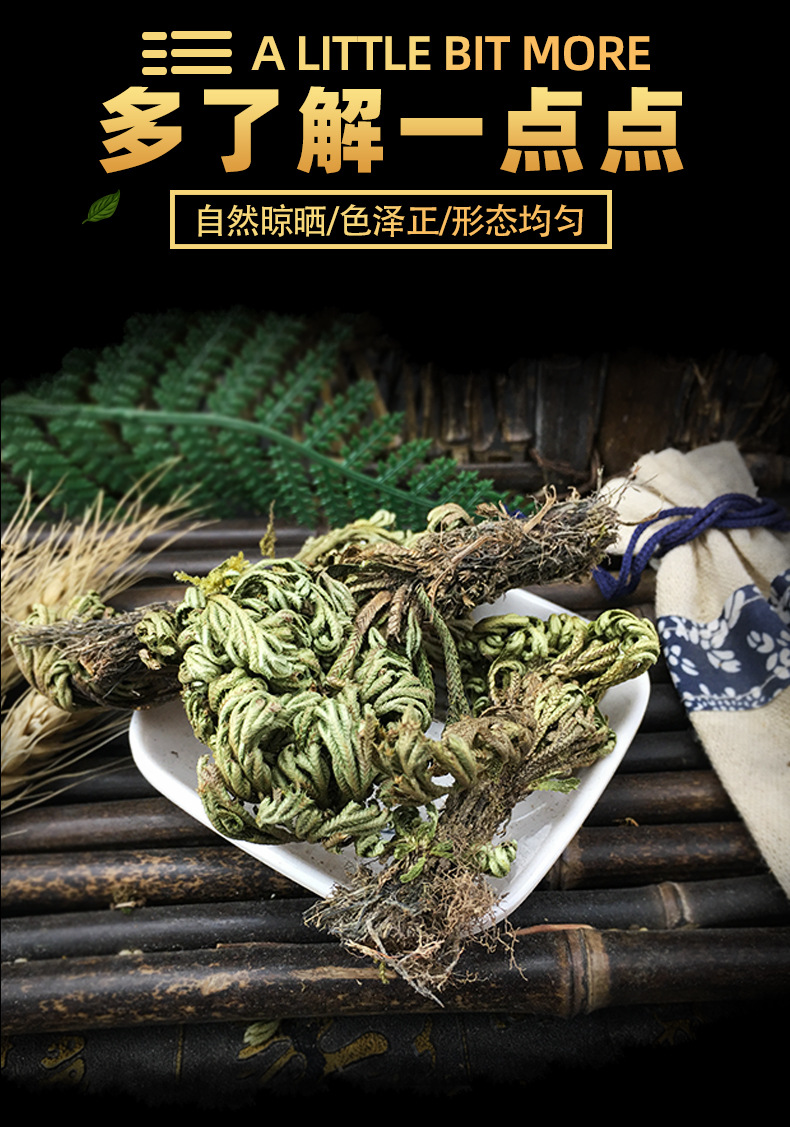 批发 卷柏 中药材 九死还魂草江湖地摊展会货品 还阳草 不死草 f