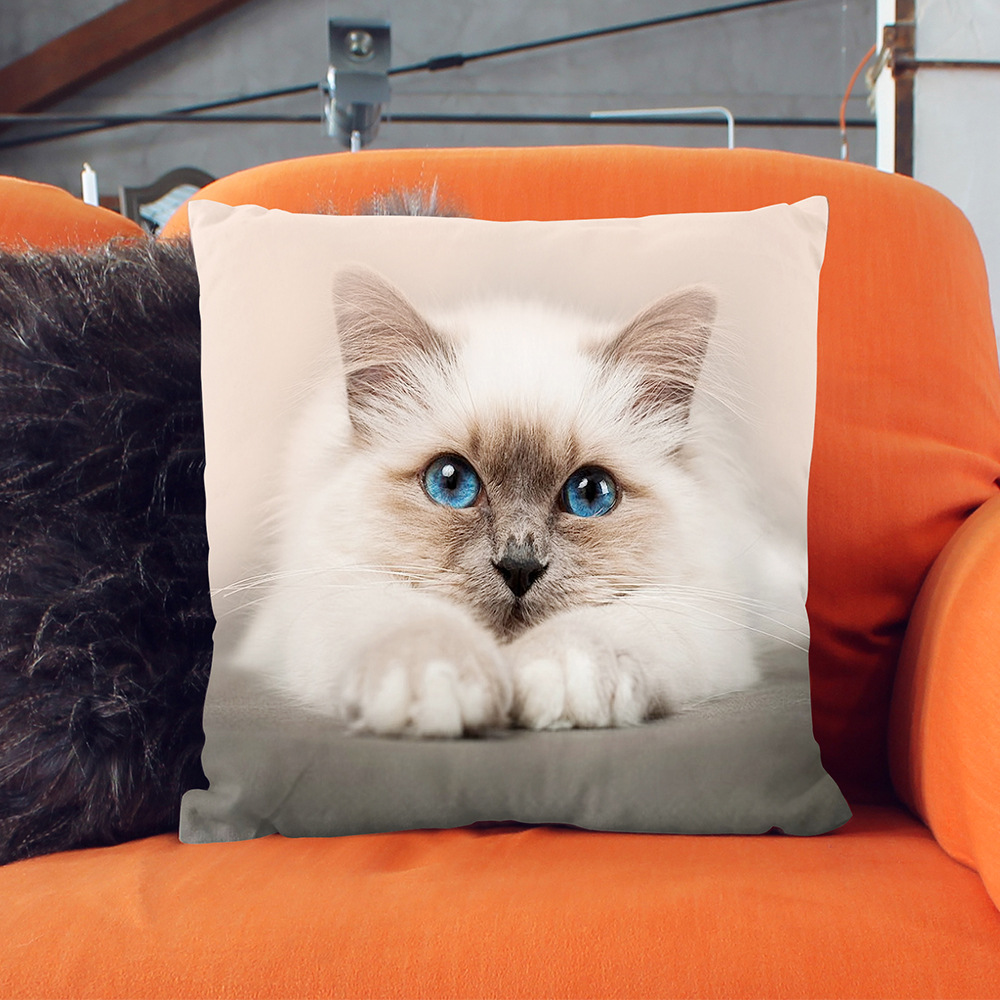 淘气可爱猫咪抱枕