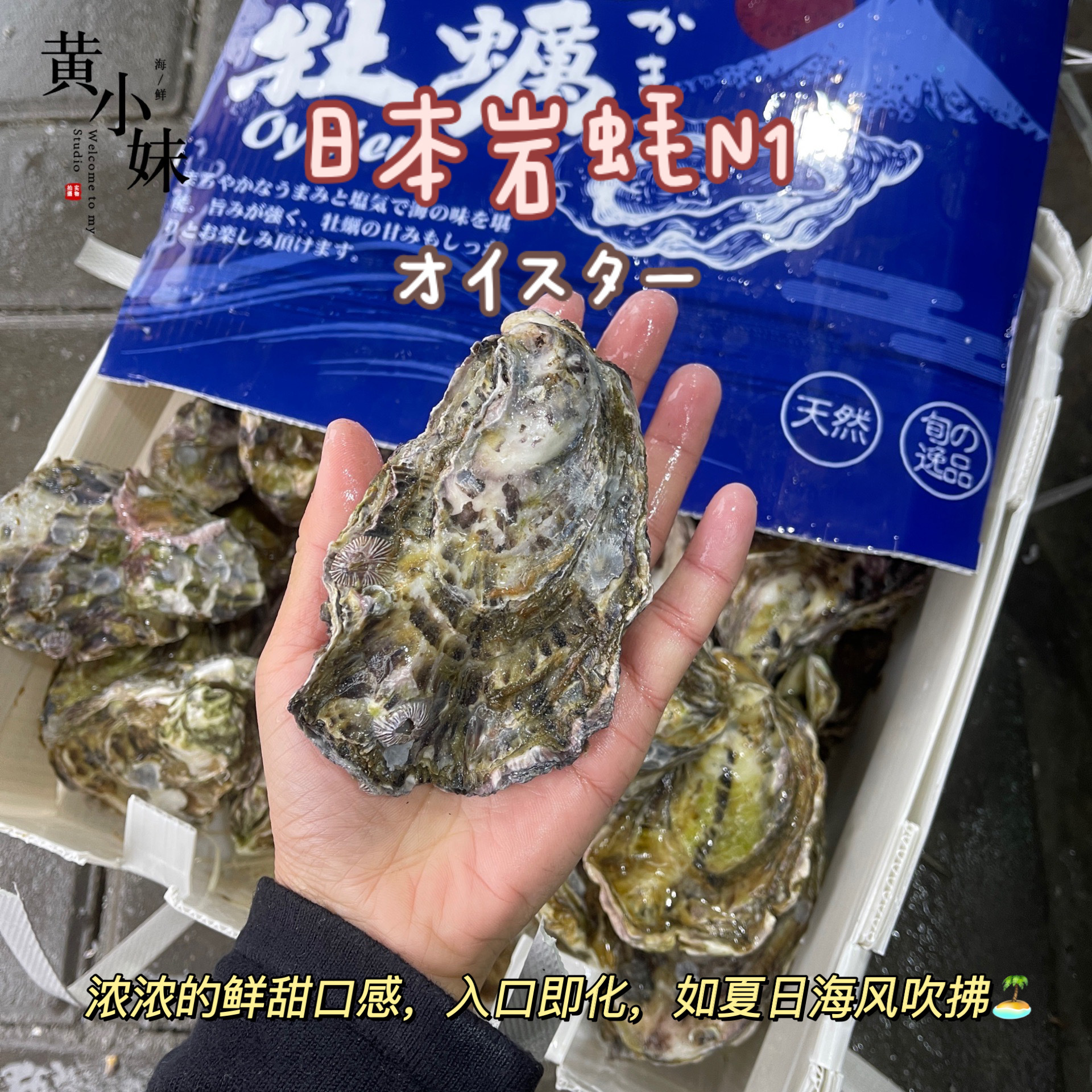 鲜活日本岩蚝n1刺身牡蛎日料非吉娜朵日料进口即食海鲜单只价