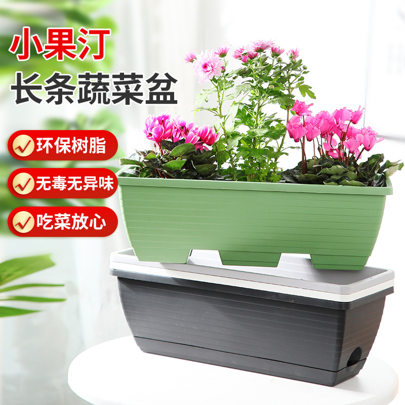 factory direct sales small sized fruit ting genuine environmental protection new material pp resin household planting basin large vegetables basin long basin