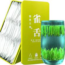 雀舌茶叶湄潭翠芽2023新茶明前嫩芽春茶高山云雾绿茶小包装清香型