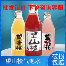 好望水望山楂汁望杏福望桃花望梅好果汁饮料汽水整箱300ml*24瓶