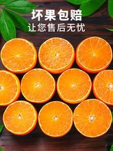 斤柑橘新鲜10媛号橙子桔子大当橙季38整箱邮果冻水果箱包四川果爱