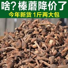 东北榛蘑丁新货野生蘑菇新货批发榛蘑小鸡炖蘑菇香菇毛重非净重。