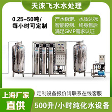 500升GMP纯化水设备生物制药化妆品纯化水机不锈钢双级反渗透设备
