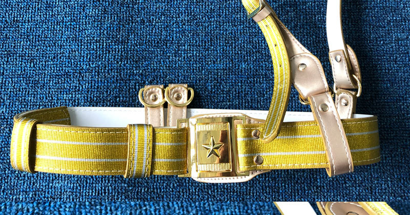 新式仪仗队金色外腰带14礼服文工团演出腰带国旗班斜挎纠察腰带