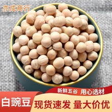 批发供应白豌豆 豌豆 带皮白豌豆49斤五谷杂粮