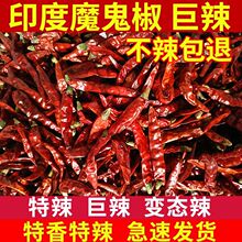 s17魔鬼椒干辣椒正宗印度进口500g特辣巨辣变态辣100万辣度辣椒王